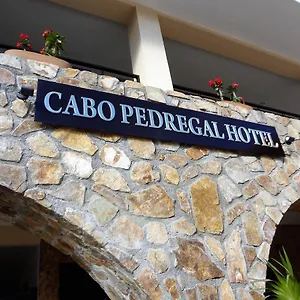 Hotel Safest In All Of Cabo